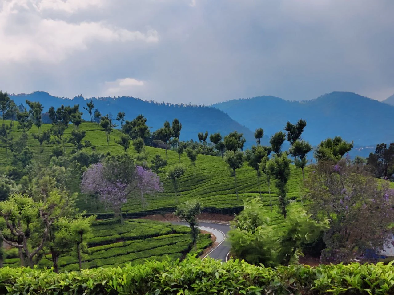 Kotagiri