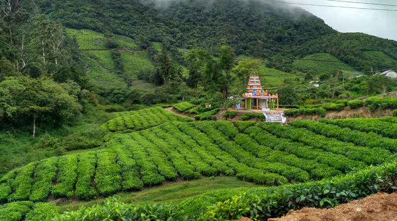Theni Drop Taxi